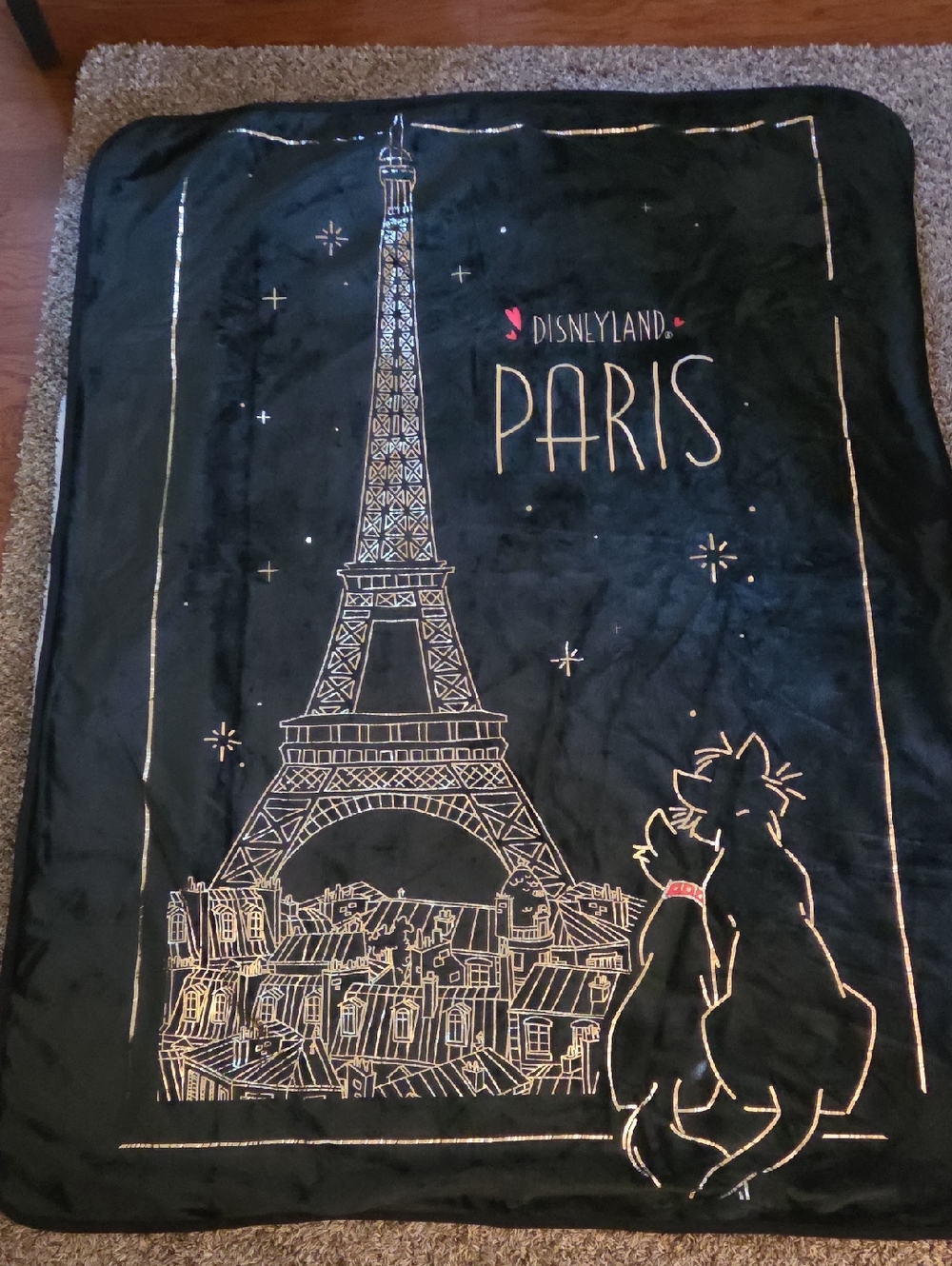 Disneyland Paris Throw Blanket in Black And Gold